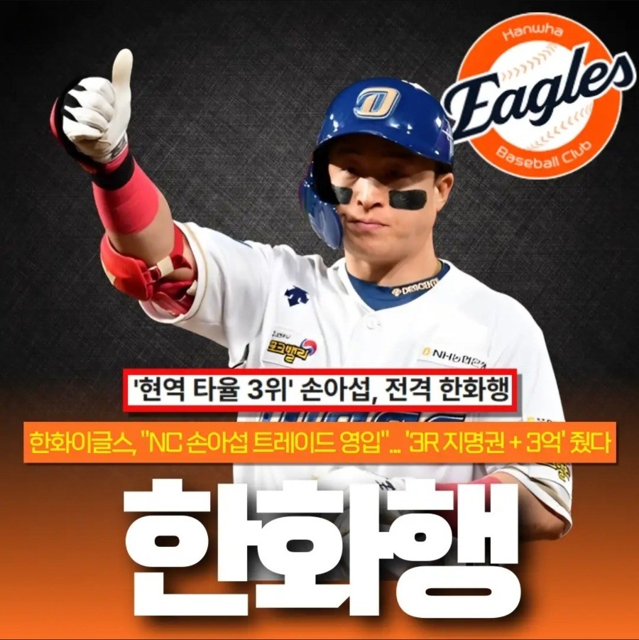충격 트레이드! 손아섭, 한화 이글스 전격 합류! 4 손아섭 선수 트레이드 조건 및 내용