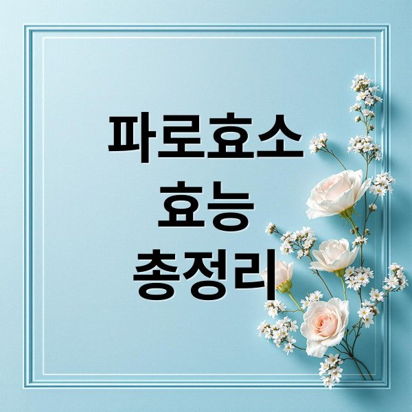 파로효소: 효능, 섭취법, 부작용 완벽 가이드