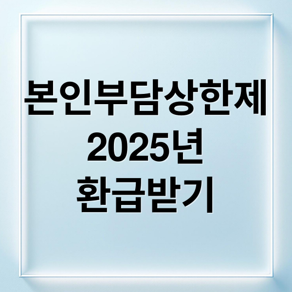 2025 본인부담상한제 환급: 대상, 계산, 신청 방법 완벽 가이드