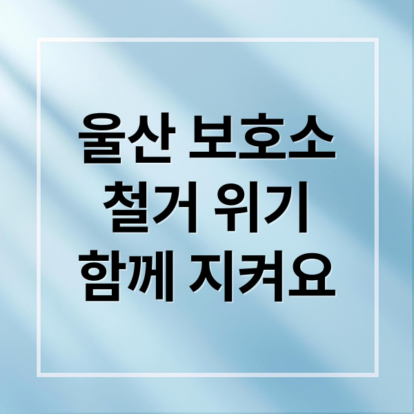 울산 유기동물 보호소, 15년 헌신 철거 위기…시민 서명운동 동참 호소