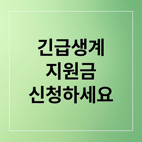 긴급생계지원금: 대상, 조건, 신청 방법 완벽 정리