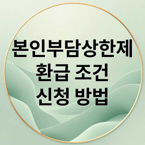 본인부담상한제 A to Z: 환급 조건, 신청 방법, 예상 금액까지