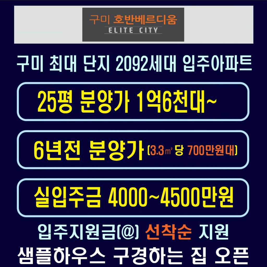 구미 호반베르디움 엘리트시티 분양전환 핵심 정보 13 주택 타입별 특징