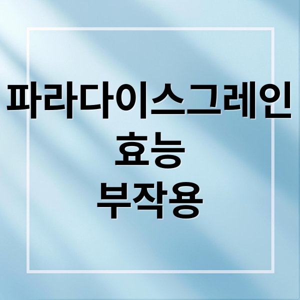 파라다이스그레인 효능부터 부작용, 섭취법까지 완벽 가이드