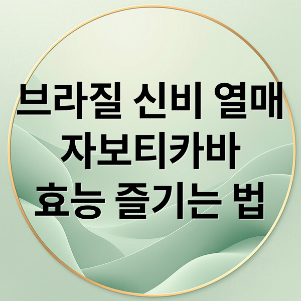 브라질 신비 열매 자보티카바: 효능부터 즐기는 법까지 총정리